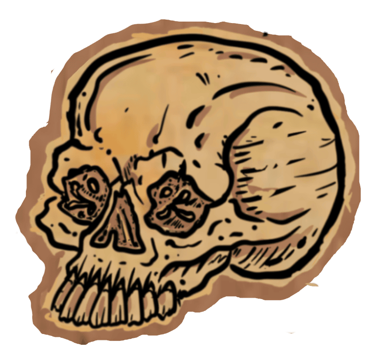 Skull illustration