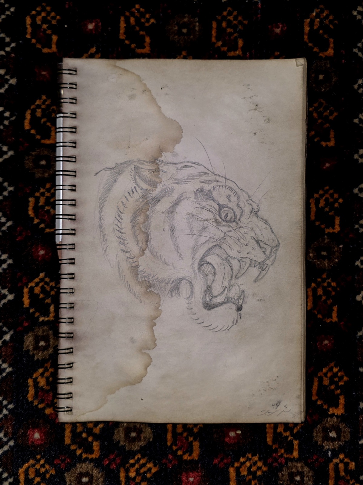 Original Sketches